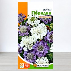 Семена скабиозы гибридной многолетняя, 0,1г, ТМ Яскрава